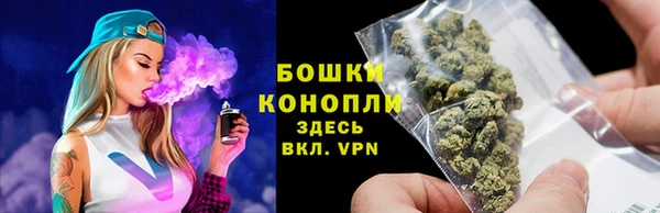2c-b Краснослободск